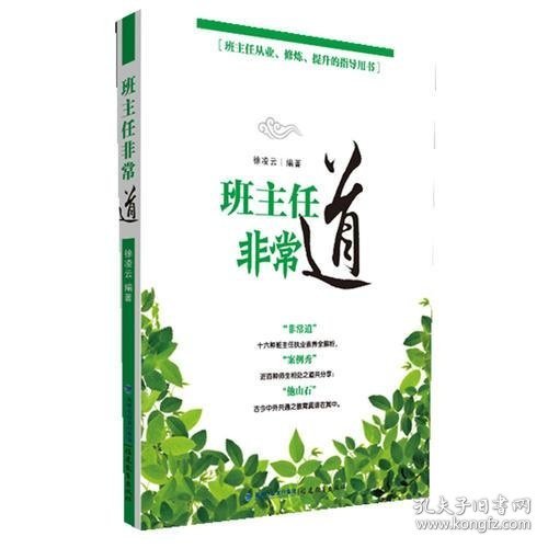 班主任非常道--班主任从业、修炼、提升的指导丛书