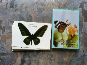 世界名蝶鉴赏 24张全（明信片式，封套稍差内页如新！）