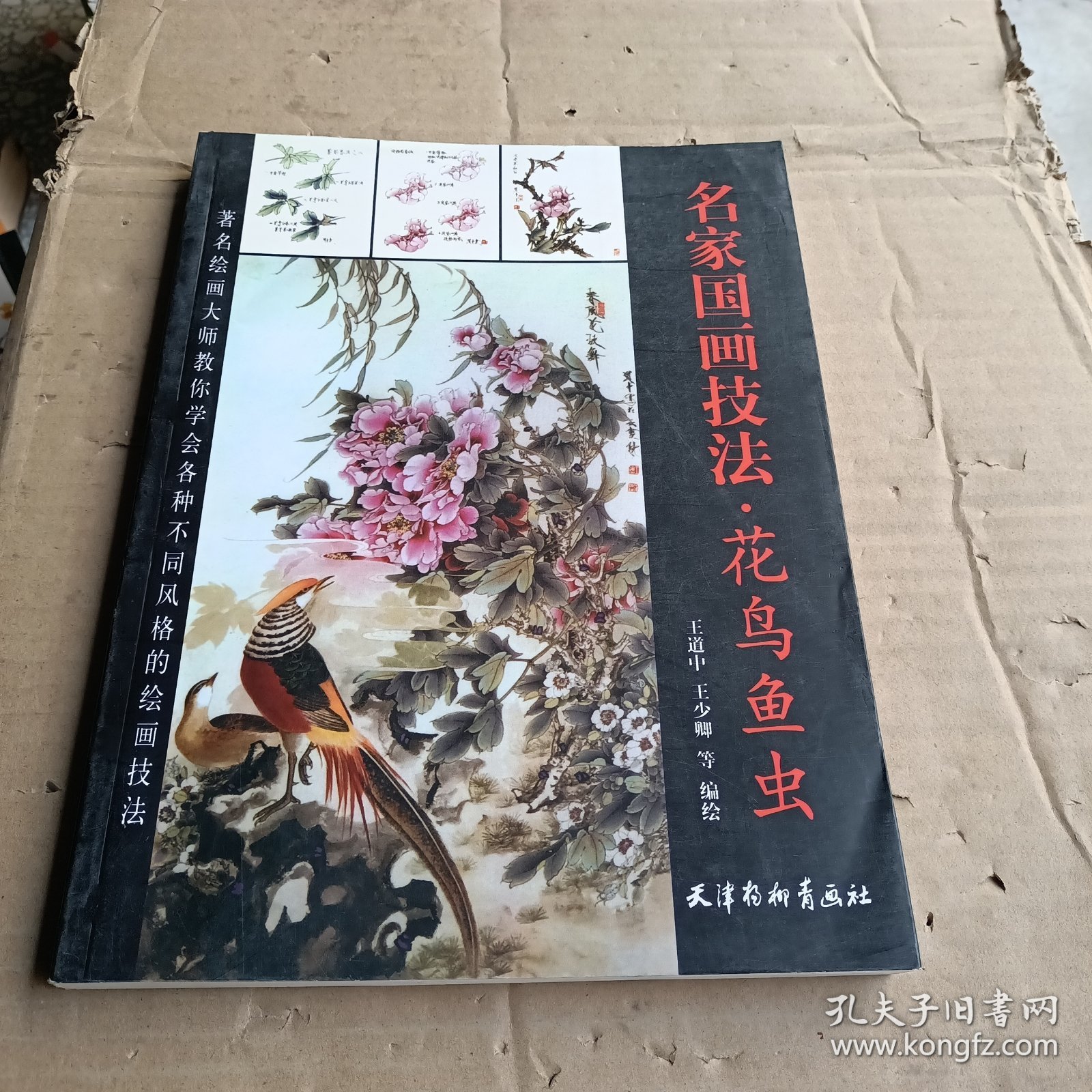 美术教学示范作品：写意草虫画法