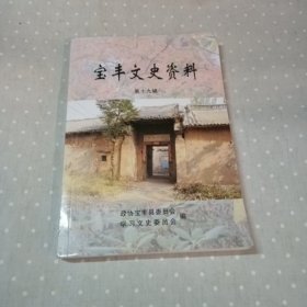 宝丰文史资料 第十九辑