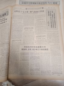 早期报纸--69年5月15日--解放日报