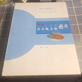 微生物图谱（二.细菌.真菌其它微生物图片）看图 实物拍摄