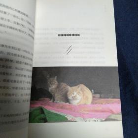 鹅鹅鹅 二东签名题词本