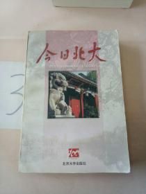 今日北大:1993～1997年卷。