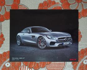 Mercedes-AMG GT图片 收藏编号N.0229
