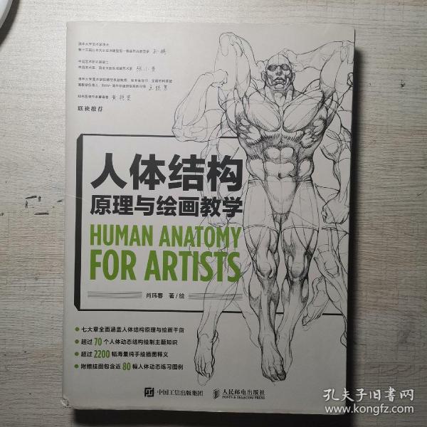 人体结构原理与绘画教学