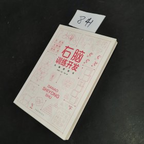 大脑使用书：右脑训练开发