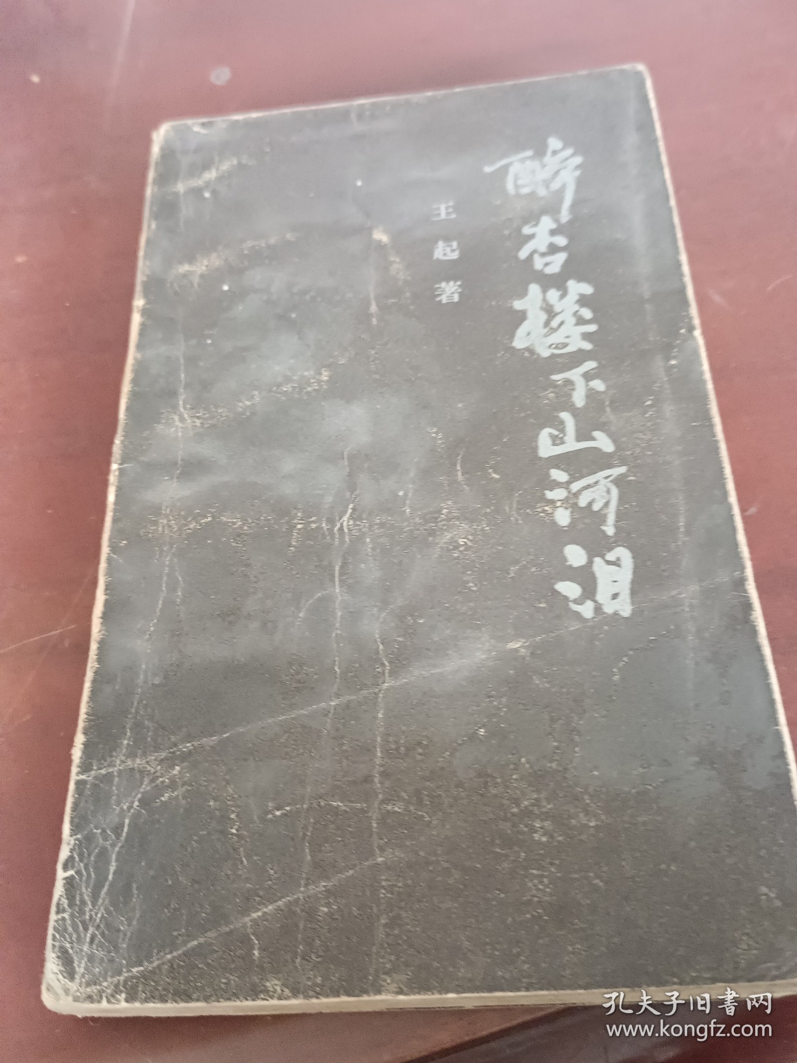 醉杏楼下山河泪