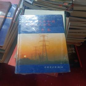 中华人民共和国电力工业史.山东卷未开封