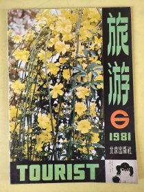 旅游1981年第6期