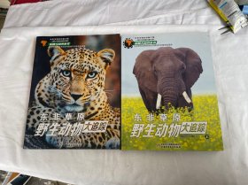 《我们爱科学》精品科普书系——东非草原野生动物大追踪上下册