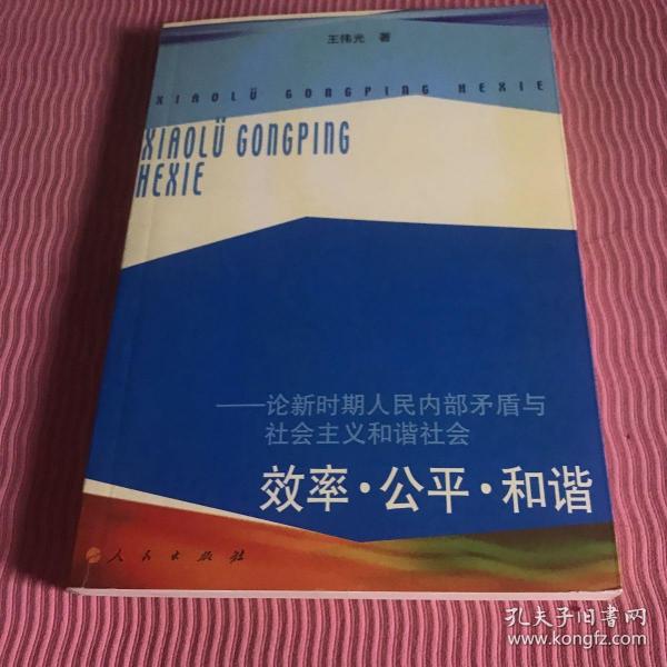 效率·公平·和谐——论新时期人民内部矛盾与社会主义和谐社会