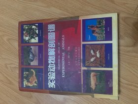 實驗動物解剖圖譜