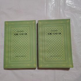 安娜·卡列宁娜 上下