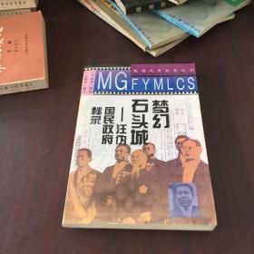 梦幻石头城:汪伪国民政府秘录