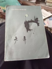 少年 陀思妥耶夫斯基选集