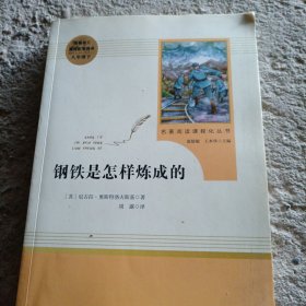 统编语文教材配套阅读 八年级下：钢铁是怎样炼成的/名著阅读课程化丛书