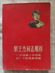 象王杰同志那样(日记本)