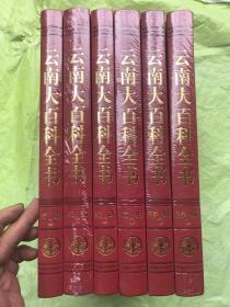 云南大百科全书：历史 （上下全两册）大开本、皮面精装、 全新品相、定价588元