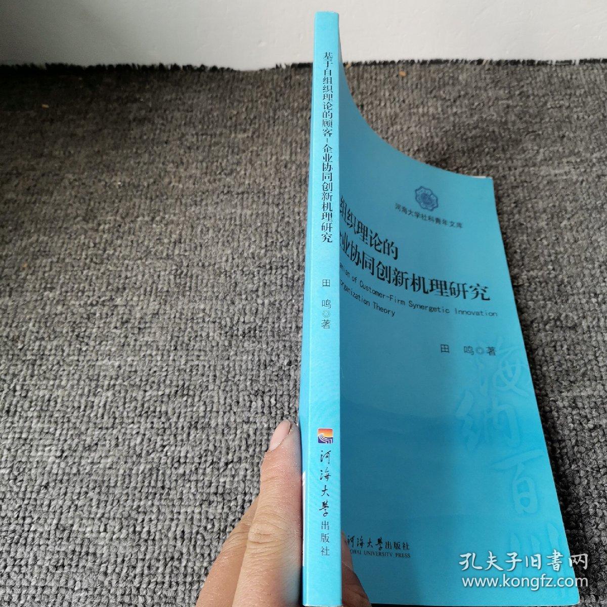 基于自组织理论的顾客-企业协同创新机理研究/河海大学社科青年文库