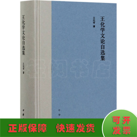 王化学文论自选集
