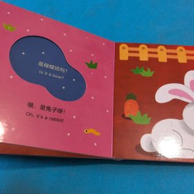 开心农场“宝宝没想到”主题认知洞洞书