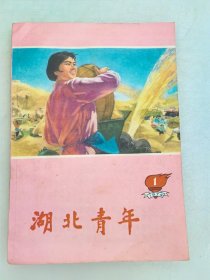 湖北青年1974年1期