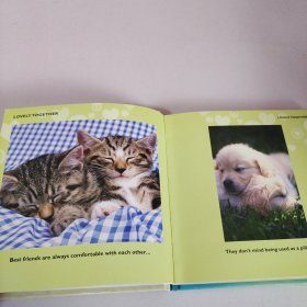 Little Book of Best Friends【英文原版】