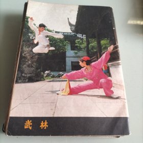 武林杂志，著名武术家，拳师，吕紫剑，名人武事，白鹤拳，孙中山，武功，秦始皇，武当拳，武当剑，技艺，武当太极拳功，精武，体育，蔡李佛拳，历史，精武潭腿，武坛，武当，武术在民间