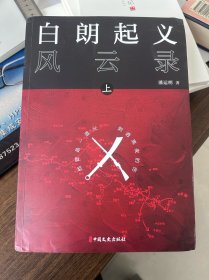 白朗起义风云录：上下册