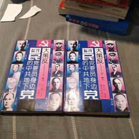 国民党要员身边的中共地下党上下册