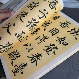 赵孟頫书法全集，14年版，仔细阅图。