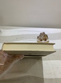 改变中国：在中国的西方顾问