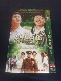 DVD 风和日丽2碟