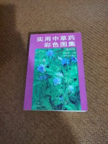 实用中草药彩色图集4