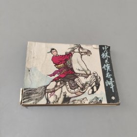 少林大侠乔峰