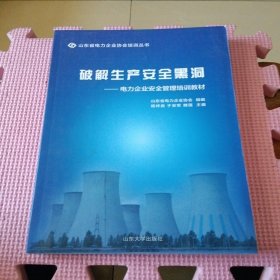 破解生产安全黑洞 : 电力企业安全管理培训教材