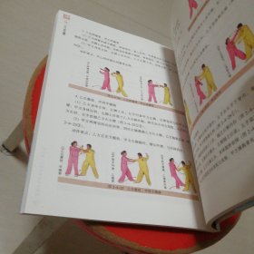 中国武术段位制系列教程：八卦掌拳（含光碟两张）