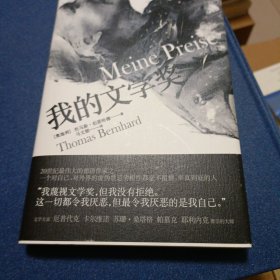 我的文学奖