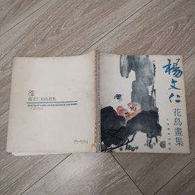 杨文仁花鸟画集 60幅图