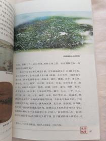 华贵天城：宋版杭州