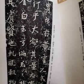 中国古代经典碑帖（二）王羲之圣教序.兴福寺断碑（释文本）