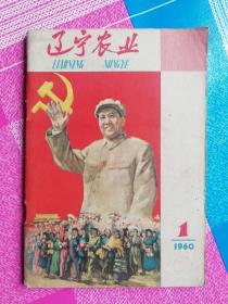 辽宁农业  1960年1