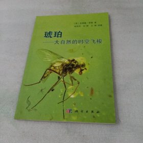 琥珀：大自然的时空飞梭