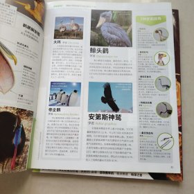 万物 环球科学 2022 5、8、9 三本合售