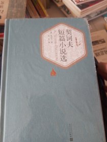 名著名译丛书：契诃夫短篇小说选