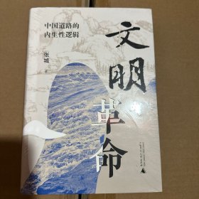 大学问·文明与革命：中国道路的内生性逻辑（李怀印、张志强、吴重庆、臧峰宇、章永乐联合推荐，助力深刻领会“两个结合”，阐述中华文明主体性）