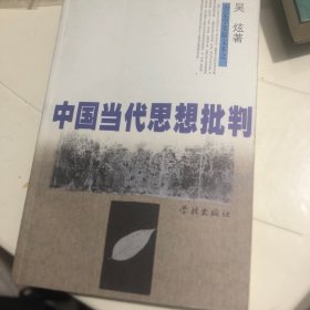 中国当代思想批判：穿越终极关怀