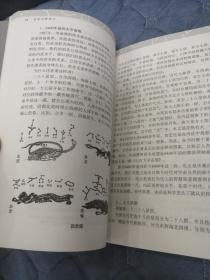 内证观察笔记：真图本中医解剖学纲目  彩图版