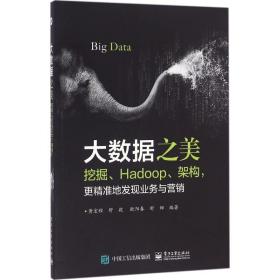 大数据之美：挖掘、Hadoop、架构，更精准地发现业务与营销